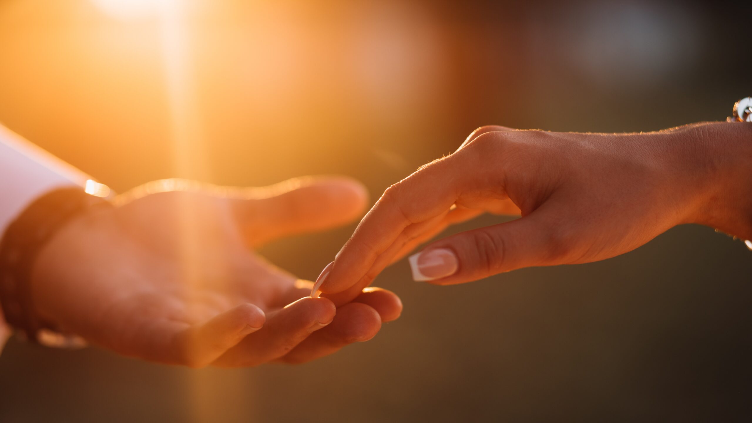 Newlyweds hands affectionate touch each other